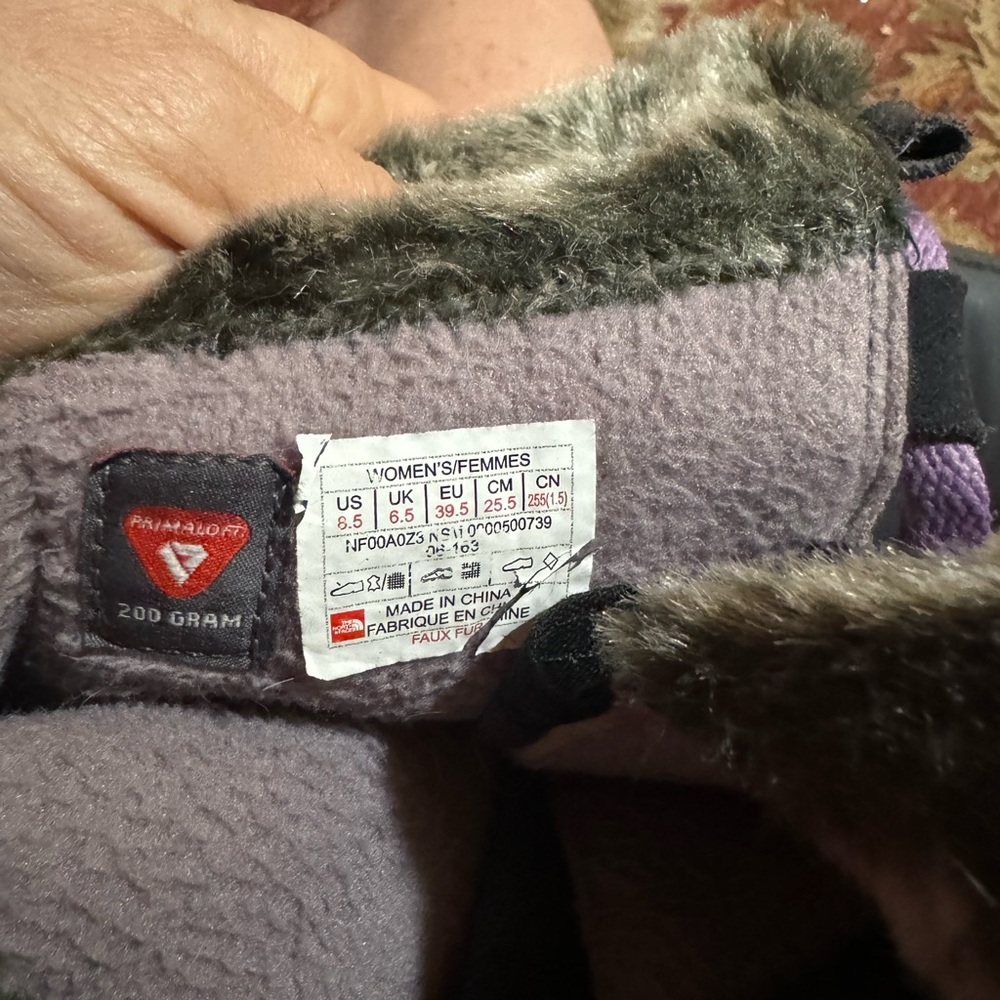 The Northface boots size 8.5